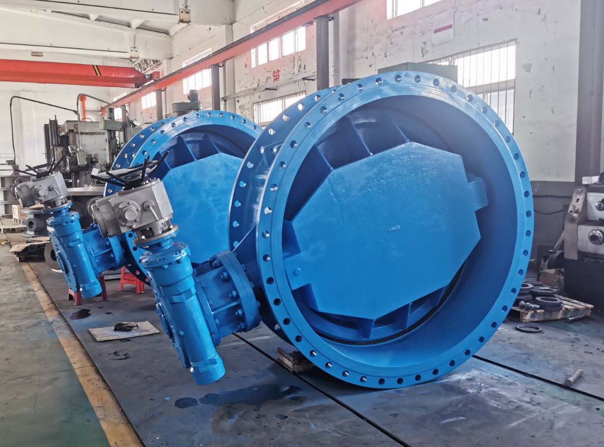 Eccentric Butterfly Valve: Structure and Applications